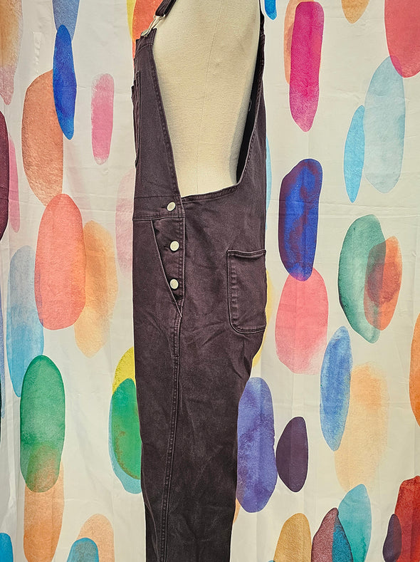 ASSEMBLY LABEL Black Denim Overalls
