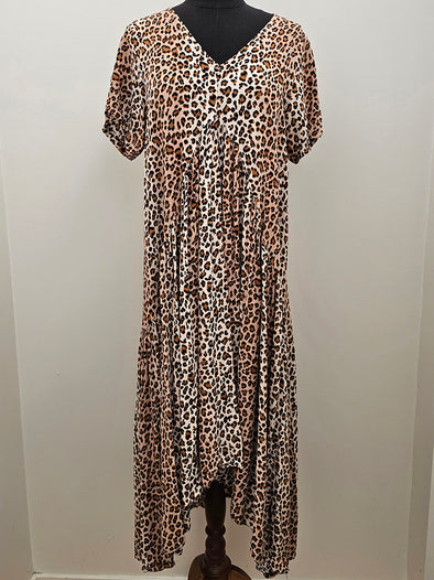 NEW U Leopard Print Maxi dress